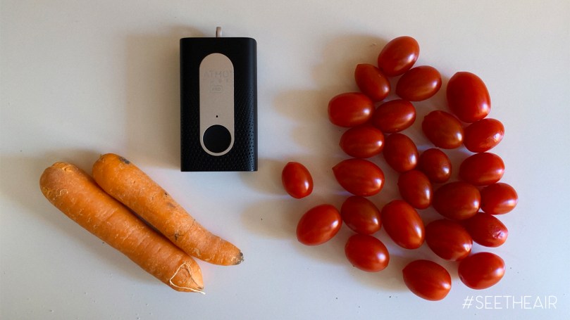 Atmotube Pro image2 copy