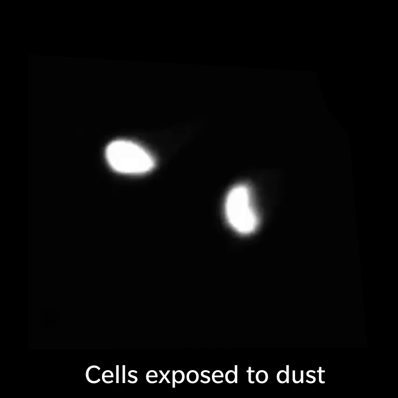 Dust Devils of Doom Sand Storm & Haboob and Their Invisible Assault on